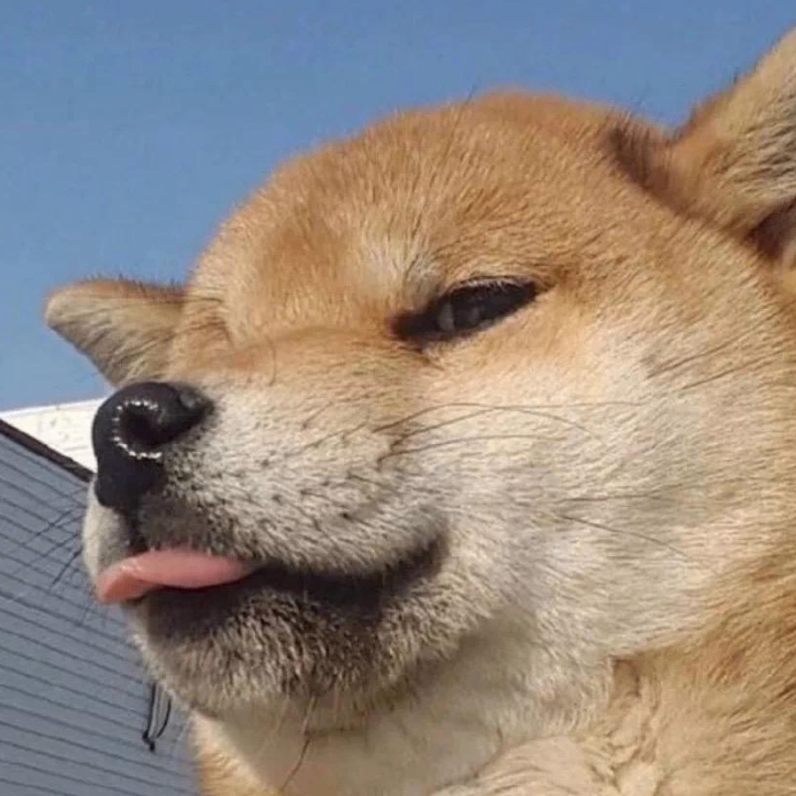 Riley (bsieieeei.lens) Lens social identity (.lens handle) PFP