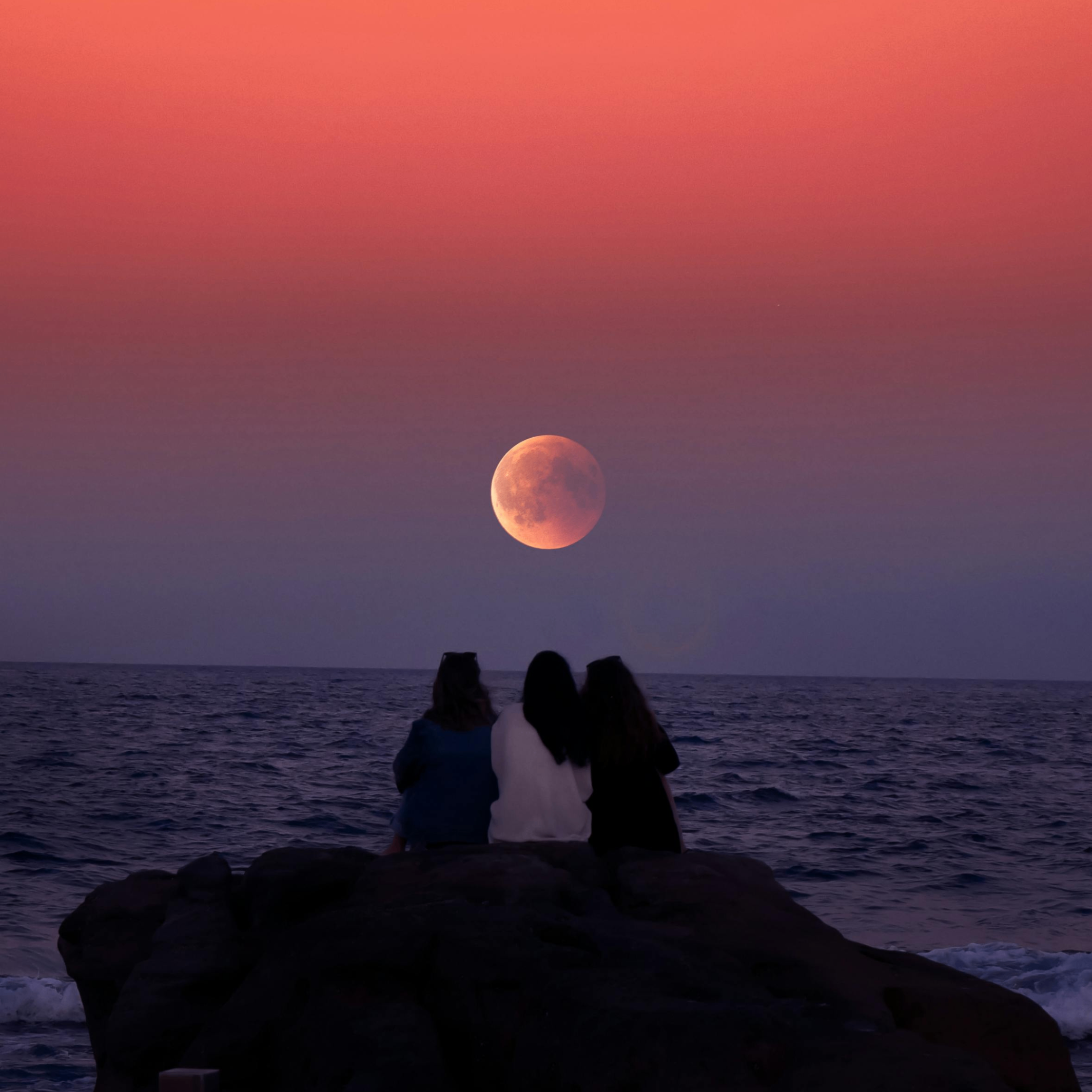 Horry (horry.lens) Lens social identity (.lens handle) PFP