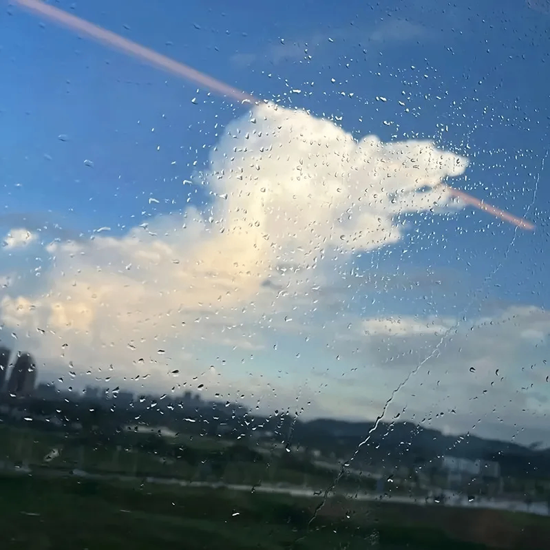 Дмитрий (dominica.lens) Lens social identity (.lens handle) PFP