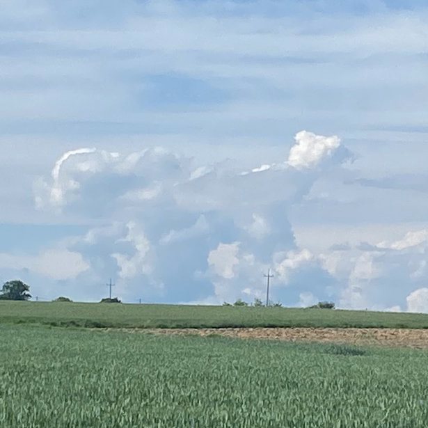 dermotay (dermotay.lens) Lens social identity (.lens handle) PFP