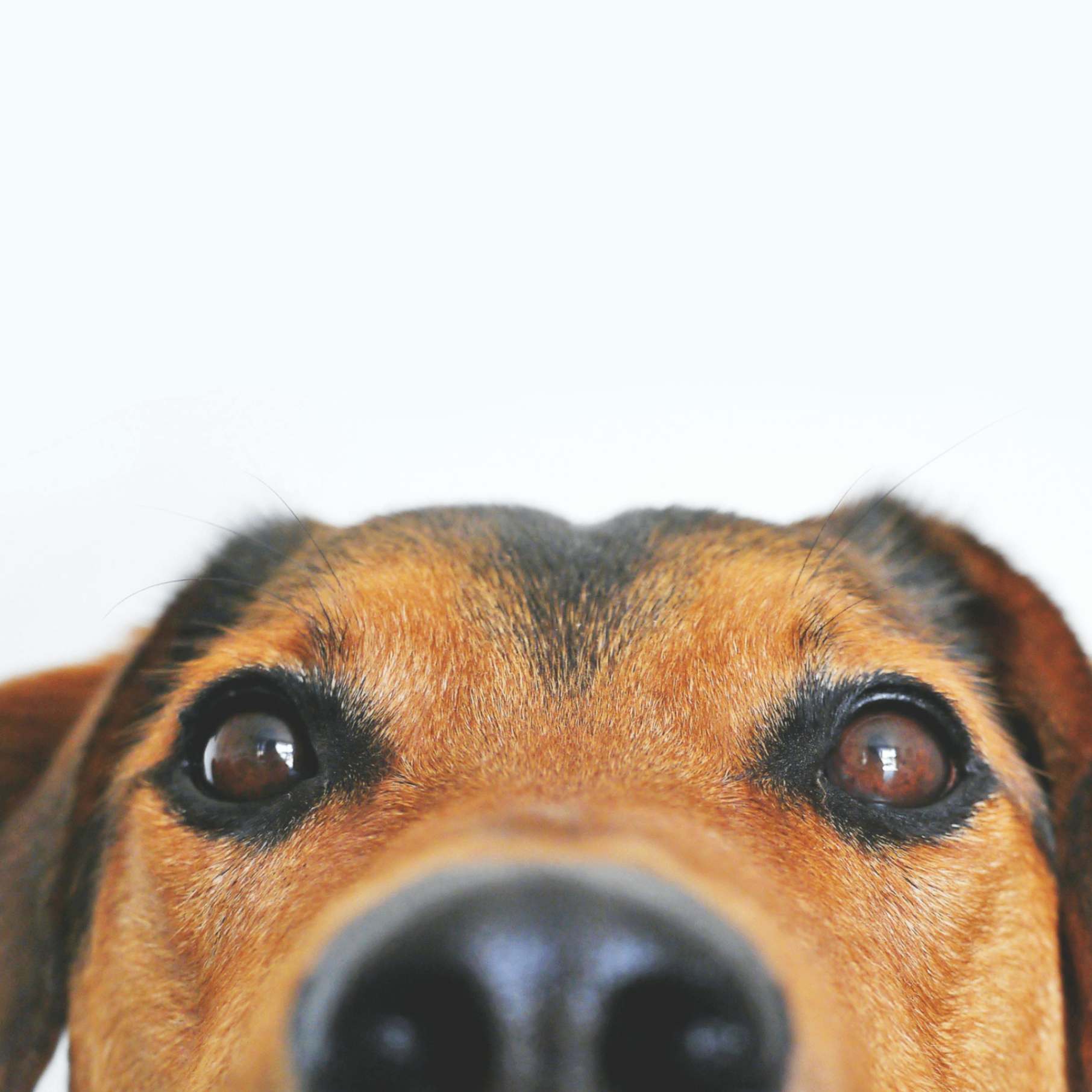 kileax.lens Lens social identity (.lens handle) PFP