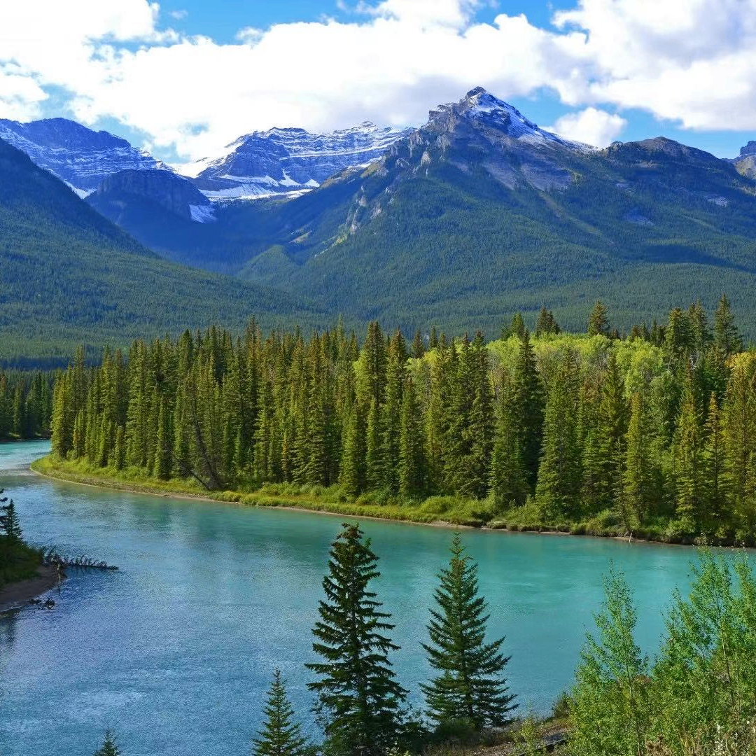 kavi (yblbb.lens) Lens social identity (.lens handle) PFP