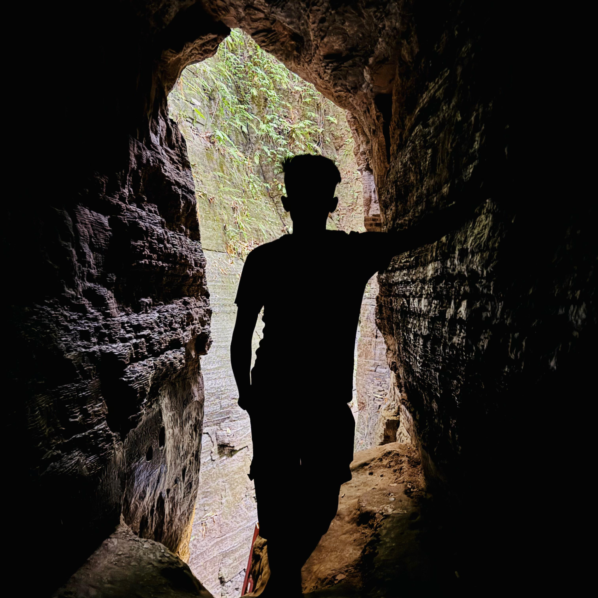 Berlin (nuhan.lens) Lens social identity (.lens handle) PFP