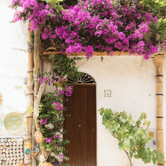 Melissa (124dfh557j6dt23.lens) Lens social identity (.lens handle) PFP