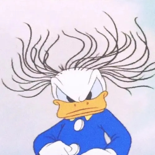 Judith Hardy (oooll.lens) Lens social identity (.lens handle) PFP