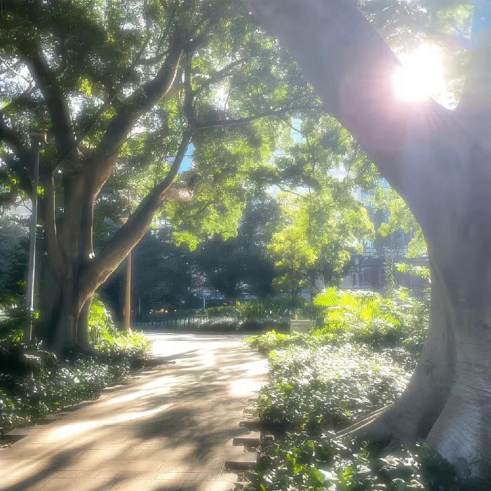 Sheryll Rheba (asg65264.lens) Lens social identity (.lens handle) PFP