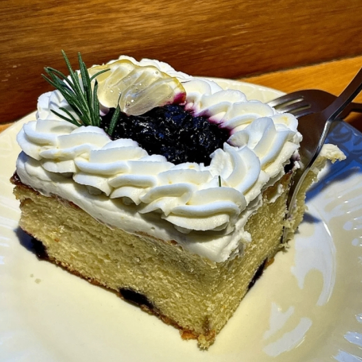 qtyhjlk (oscaraseg.lens) Lens social identity (.lens handle) PFP