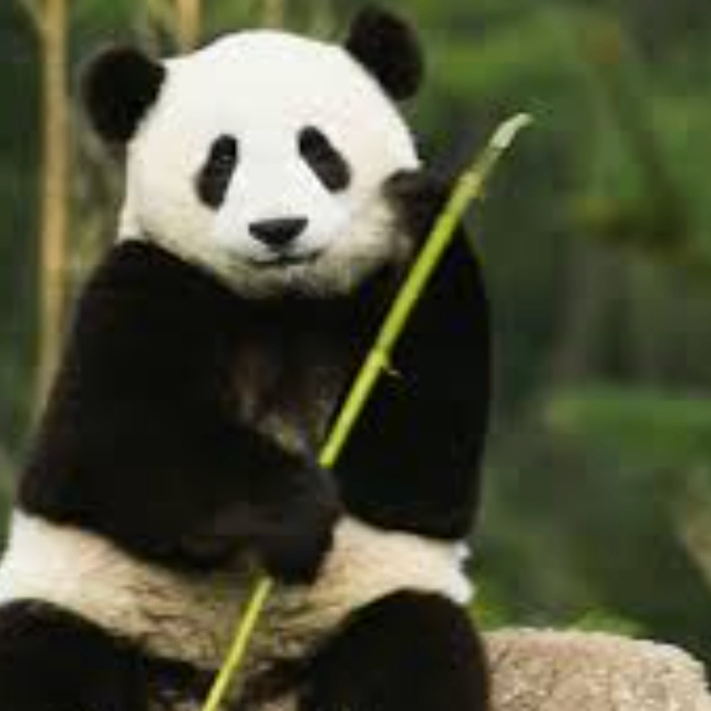 hgvbn (wpppp.lens) Lens social identity (.lens handle) PFP