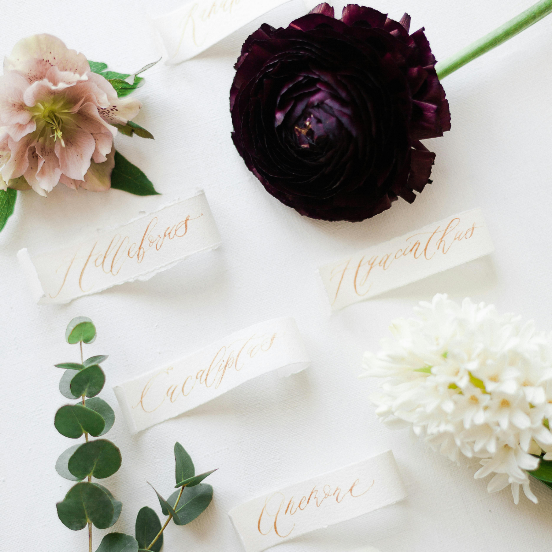 uzoo (kas32.lens) Lens social identity (.lens handle) PFP