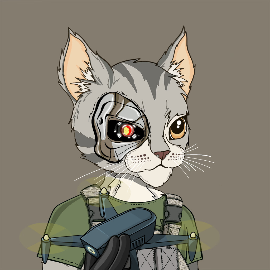 cryptocat (cryptocat777.lens) Lens social identity (.lens handle) PFP