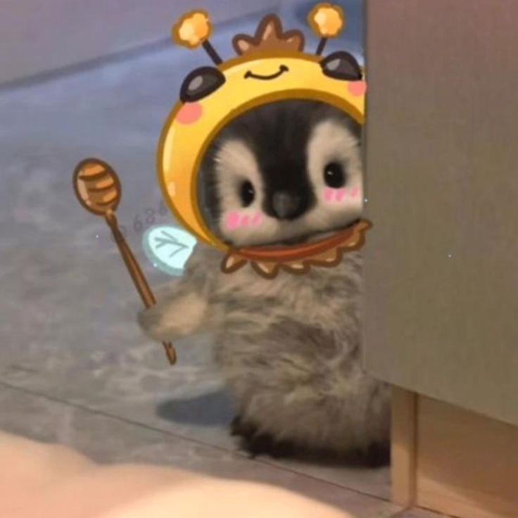 babilibooo (babilibo.lens) Lens social identity (.lens handle) PFP