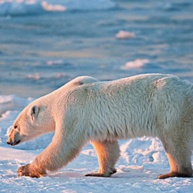 fjiowrjwe (eewwee.lens) Lens social identity (.lens handle) PFP