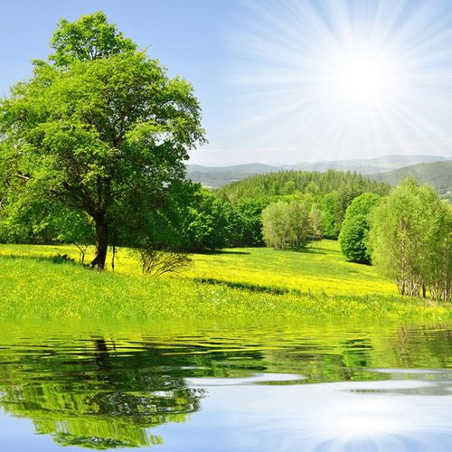 Xiu Yi (aaasda.lens) Lens social identity (.lens handle) PFP