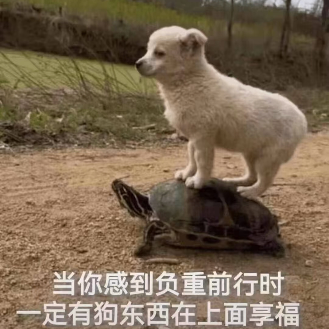 jscdscwccc (fuel6.lens) Lens social identity (.lens handle) PFP