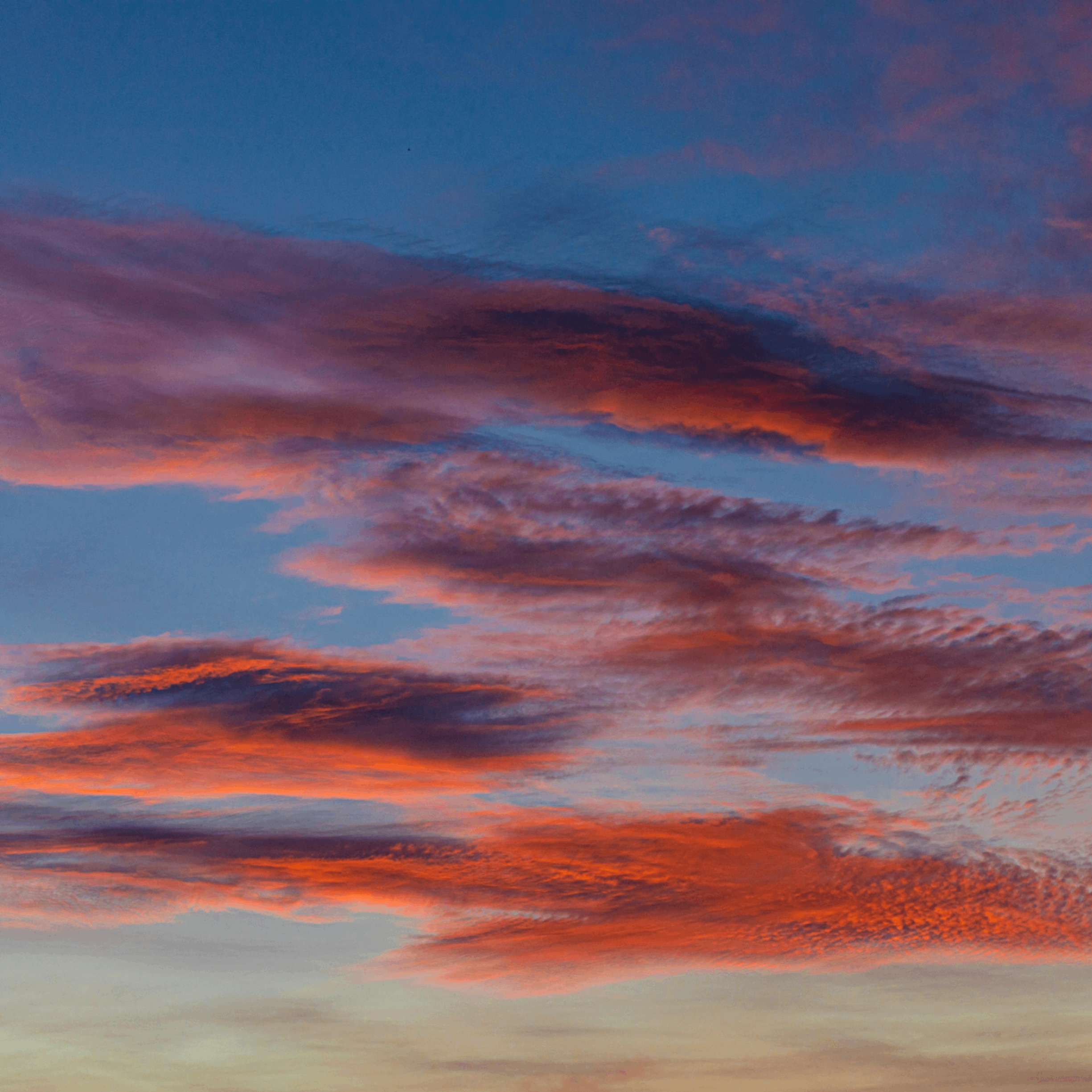 detain (detain.lens) Lens social identity (.lens handle) PFP