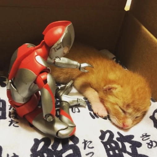 cathy (ethmeme.lens) Lens social identity (.lens handle) PFP