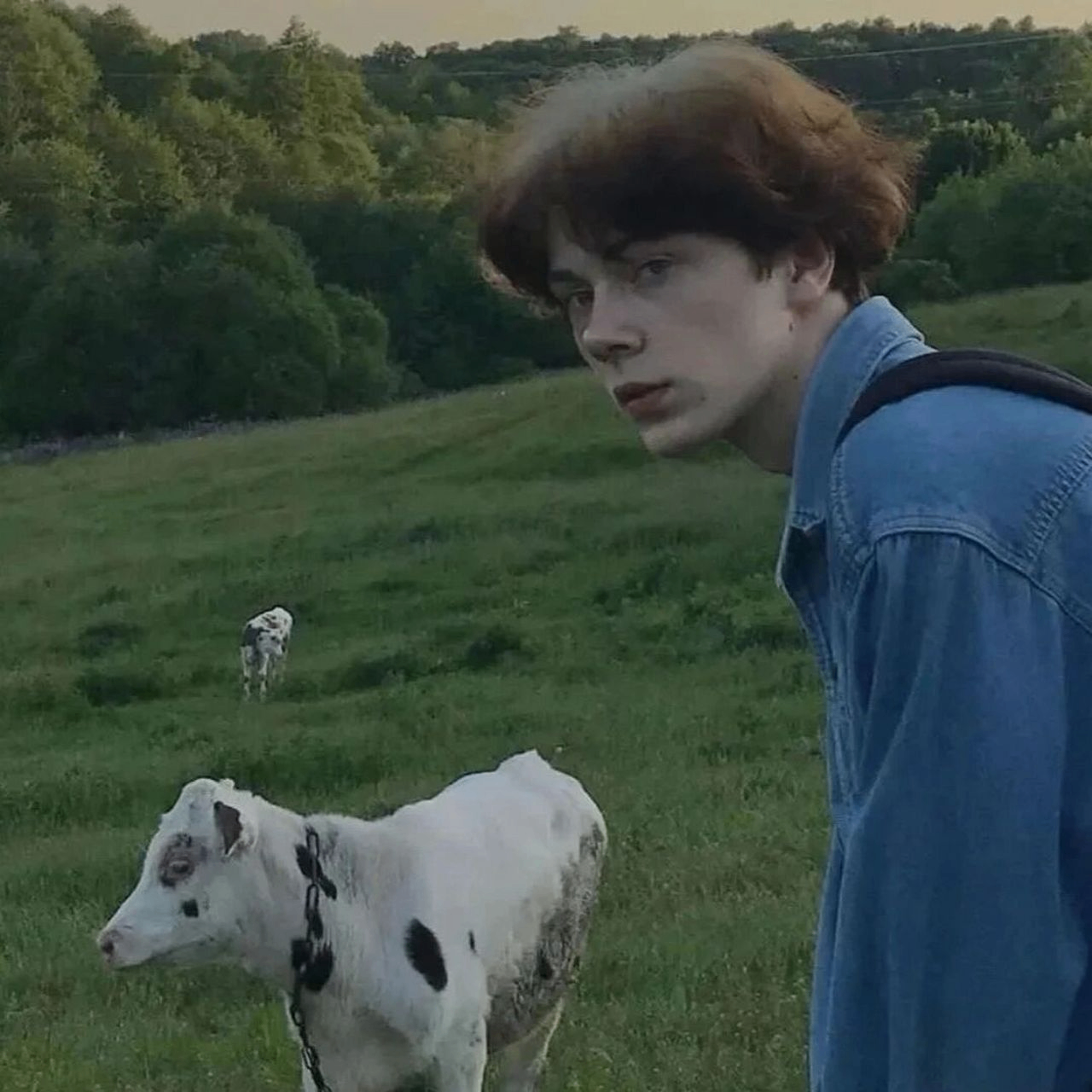 Miranda Daniel (uuuuus.lens) Lens social identity (.lens handle) PFP