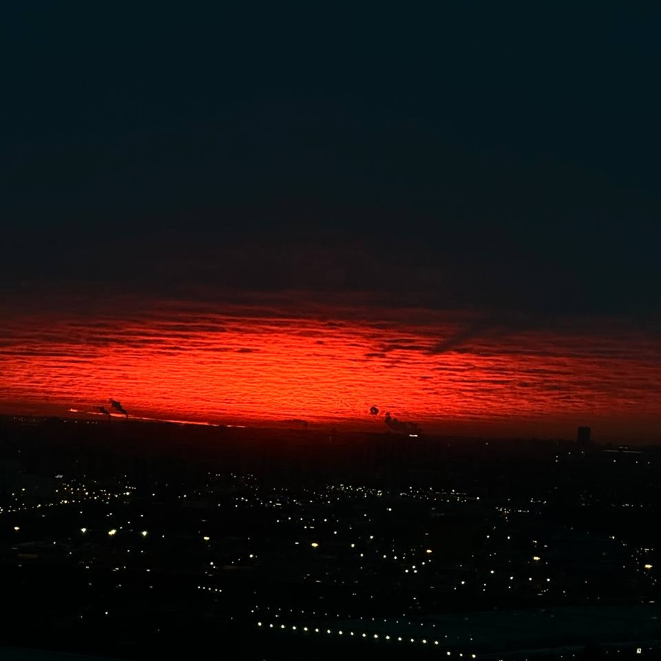 Dima Zakharov (dimasta.lens) Lens social identity (.lens handle) PFP