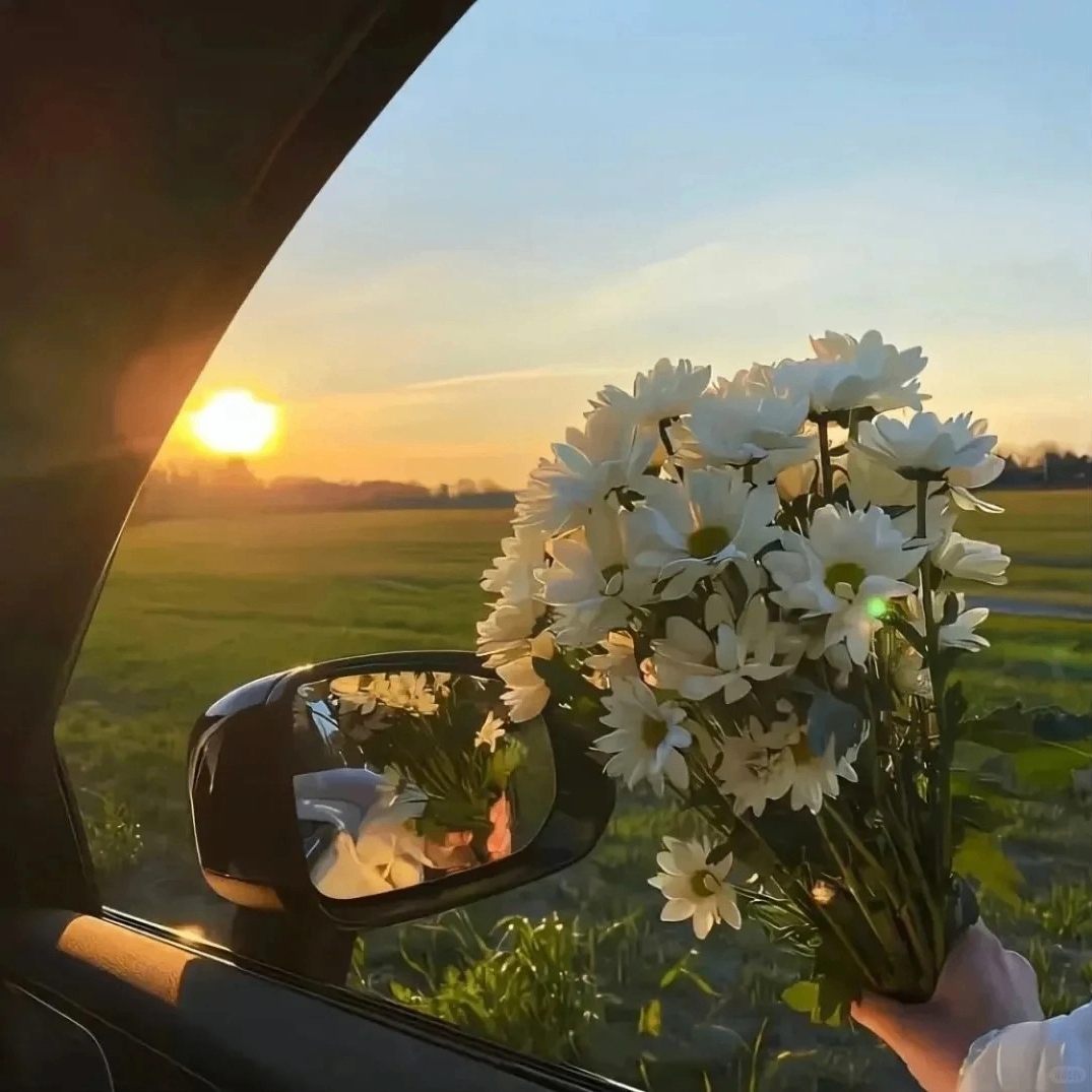 Aaliyah (yarayolanda.lens) Lens social identity (.lens handle) PFP