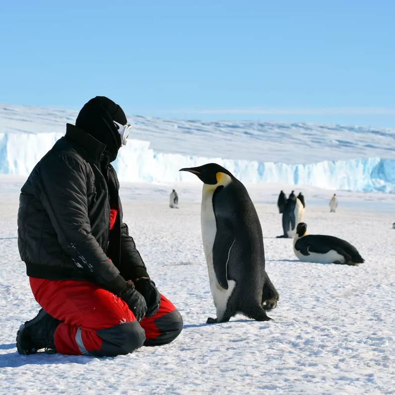 Vova (polyarnik.lens) Lens social identity (.lens handle) PFP