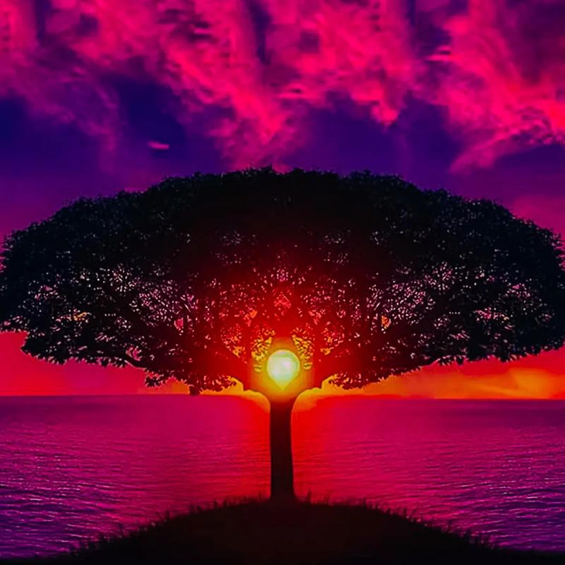 nuhqkj (saia8a.lens) Lens social identity (.lens handle) PFP