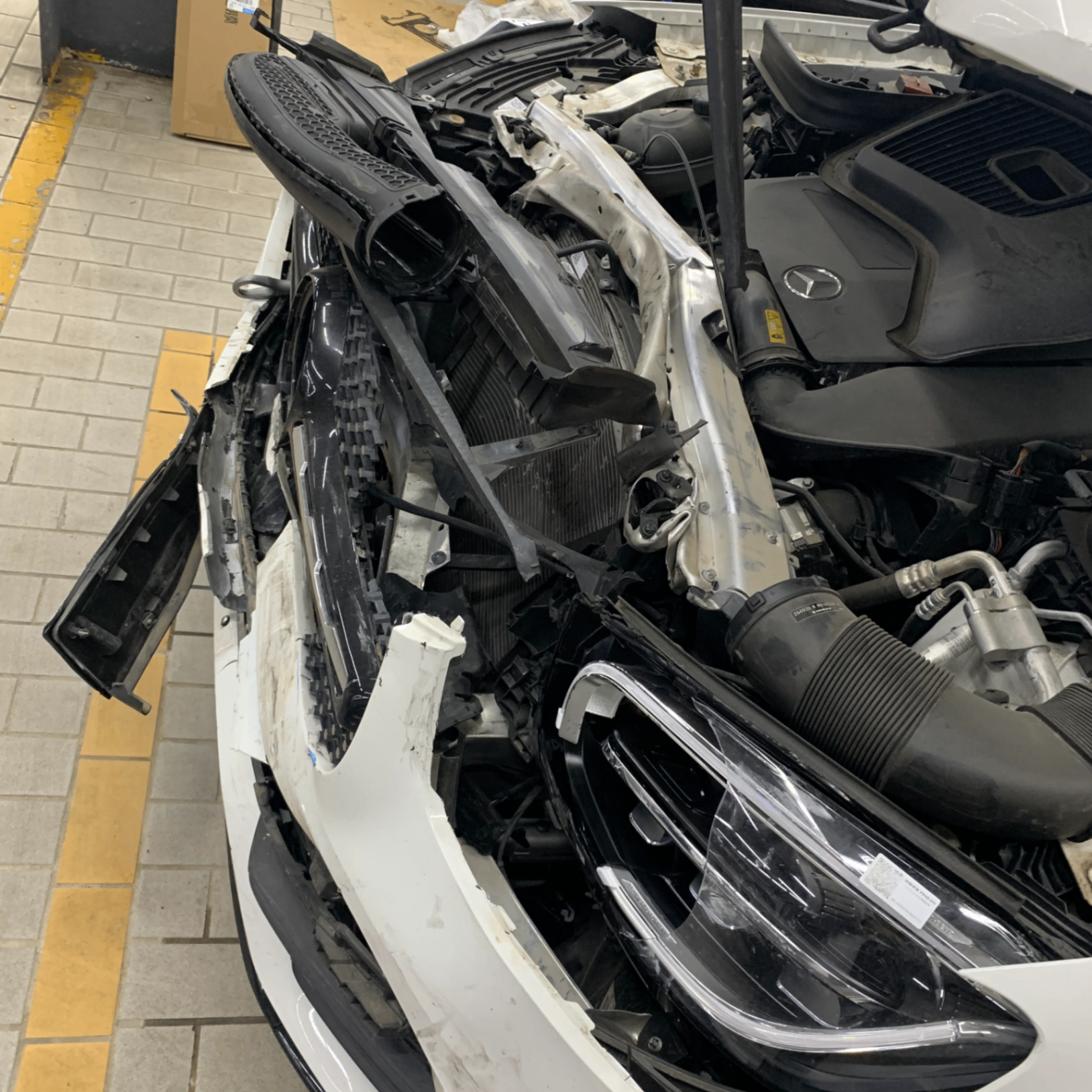 kuu (fkdkdododp.lens) Lens social identity (.lens handle) PFP