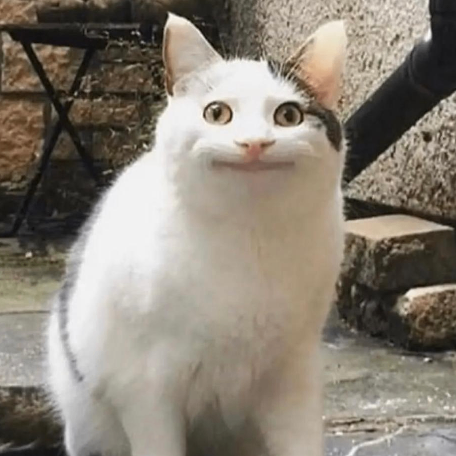 Kishan Kumar (kishankumar.lens) Lens social identity (.lens handle) PFP