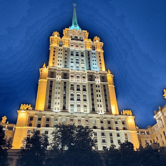 Patricia Hall (patriciahalld.lens) Lens social identity (.lens handle) PFP